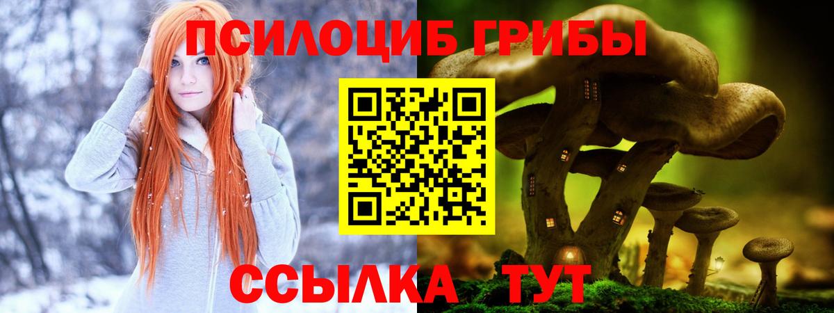 Соль-Илецк  продажа наркотиков  Вход с VPN  Псилоцибиновые грибы ЛСД 